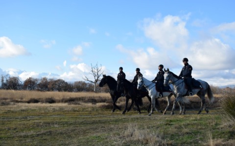 Carabinieri a cavallo in Baraggia: nuova fase del contrasto allo spaccio nelle aree boschive del Biellese
