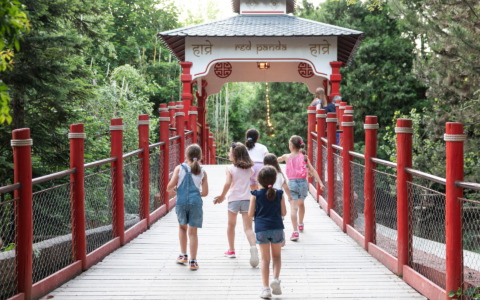 Bioparco Zoom Torino e Parco Natura Viva, 2025 da record per il gruppo Openature: 1,2 mln di visitatori e nuove specie animali in primavera
