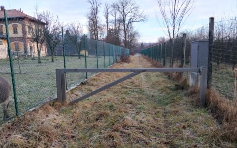 «Si recuperi la Malpenga»