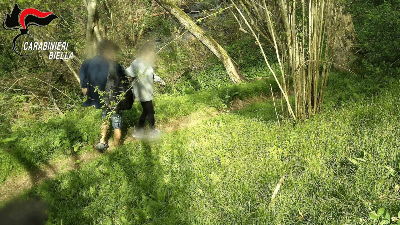 Lo spaccio arriva nei boschi della città: arrestato un pusher