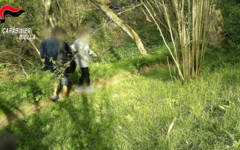 Lo spaccio arriva nei boschi della città: arrestato un pusher