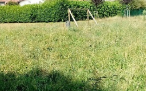 Seab gestirà il verde urbano