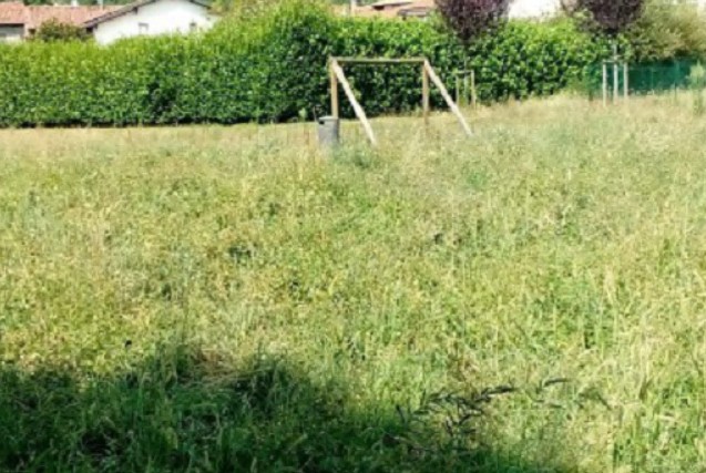 Seab gestirà il verde urbano