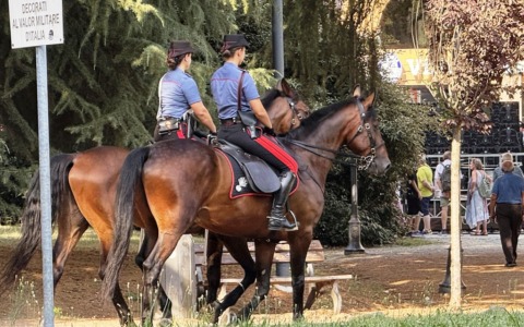 Carabinieri a cavallo nei boschi del Biellese: smantellato un bivacco dello spaccio