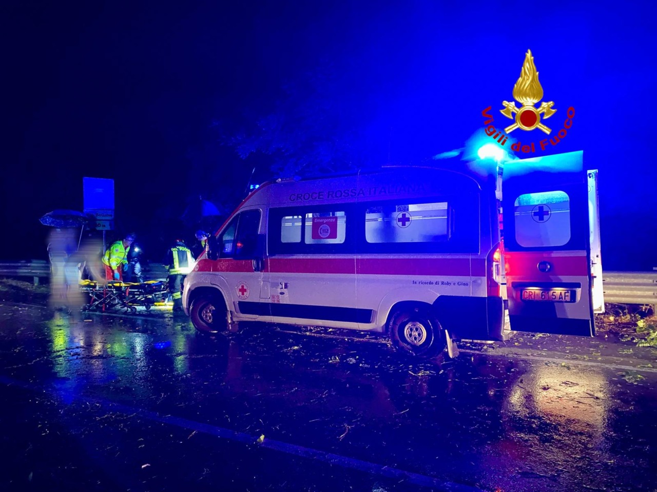 Pianta cade sulla provinciale: motociclista finisce a terra, coinvolta anche un’auto