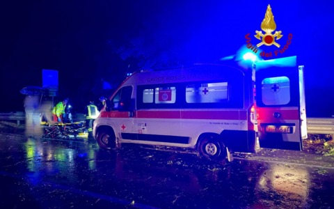 Pianta cade sulla provinciale: motociclista finisce a terra, coinvolta anche un’auto