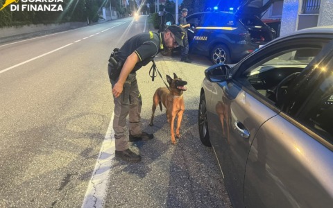 Hashish in ospedale e cocaina nel bosco: sette persone finite nei controlli della Finanza