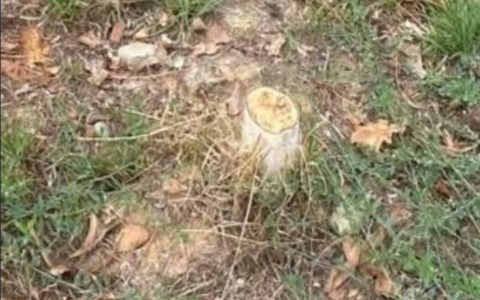 Danni al nuovo parco ‘La Torre’ di Cerreto