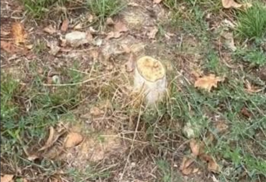 Danni al nuovo parco ‘La Torre’ di Cerreto