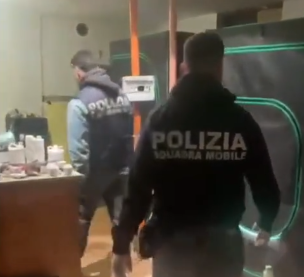 Aveva nascosto in casa una fabbrica di marijuana: arrestato
